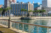 Food Tasting & Market Shopping: Private Guided Tour in PORT LOUIS