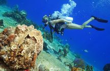 Discover Scuba Diving