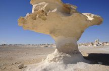 2-Day Desert Safari: Cairo – Bahariya Oasis – White Desert