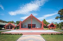 From Auckland : Rotorua Tepuia Tour with Haka and Hangi Lunch 