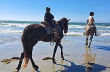 Horseback Riding on the Beach from Ensenada