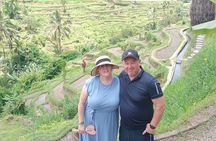  All - Inclusive Ubud Tour - Ubud Culture - Private Tour Guide