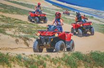 NEW!! Combo ATV & Horseback Ride. Beach & Desert. Tequila Tasting
