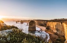 Great Ocean Road Coastal Spectcular with Wildlife Wonders