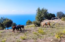 Horse Riding Tour at Taurus Mountains with Roundtrip Transfer
