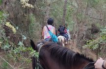 Horse Riding Tour at Taurus Mountains with Roundtrip Transfer