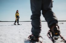 Snowshoe Walk to the Arctic Nature, Apukka Resort Rovaniemi