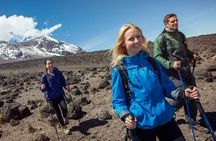 7-Day Kilimanjaro Climbing Via Machame Route