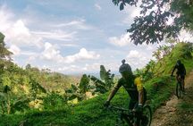 Bike expedition La Vuelta al Quindio Colombia Coffee region