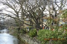 2 Hour Guided Gion Tour: Explore Kyoto’s Historic Geisha District