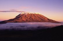 8 Day Climbing Kilimanjaro Via Lemosho Route