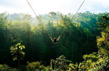 Ubud - All Inclusive Private Day Tour