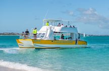 Morning Half Day Cruise from Providenciales with Snorkeling and Iguana Island