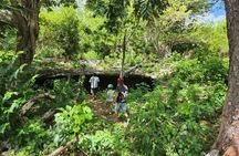 2 Hours ATV Jungle, Caverns and Mayan Ruins Tour