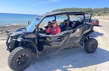 Best of Korcula island winery's by 4X4 Canam buggys with lunch