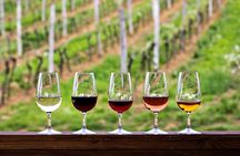 Private Wine Tour in Sedona, Arizona