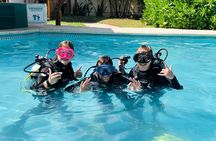 Diving Certification in Puerto Morelos