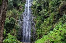 Day trip Materuni watsrfalls and chemka hotsprings tour