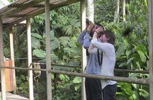 6 Days Tour at Manu Rainforest Lodge