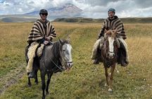 Cotopaxi Horseback Riding Tour from Quito – Andes Adventure