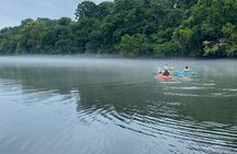 Half-Day Guided Kayaking in the Smoky Mountains of Tallassee