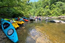 Half-Day Guided Kayaking in the Smoky Mountains of Tallassee