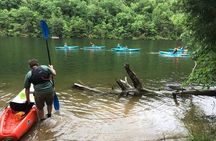 Half-Day Guided Kayaking in the Smoky Mountains of Tallassee