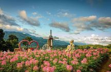 Food, Historical and Mountain Tour in Cebu City