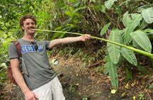 Rainforest Wildlife, Panama Hat makers, Traditional Cuisine. SHORE TOUR