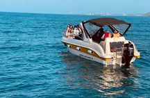 Whale Watching From Colombo