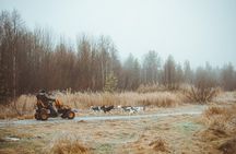 Autumn Husky Ride on Wheels, Apukka Resort Rovaniemi