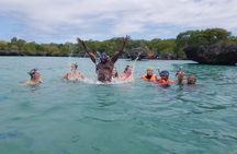Safari Blue island of Kwale Adventure 