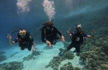 Scuba Diving in Hurghada _ 2 Stops Dive With Equipments & Lunch