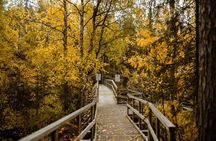 Trekking in the Heart of Nature