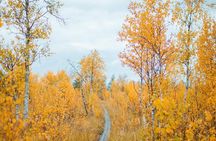 Trekking in the Heart of Nature
