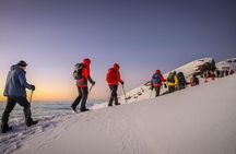 Kilimanjaro 7 Days Machame Route Private Tour