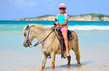  Morning horseback riding tour from Punta Cana
