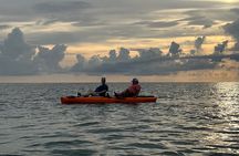 Naples Guided Sunset Kayak Tour Activity