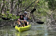 Naples Guided Sunset Kayak Tour Activity