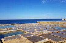 Malta: Gozo Full Day Buggy Tour with lunch and Boat Trip 