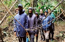 5 Days Guided Manu Amazon Tour