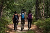 Fox Canyon Adventure Trek: Los Cabos Full-Day Tour