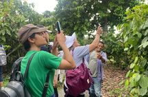 Hacienda CacaoyMango, Gastronomy, Cacao, and Chocolate Factory