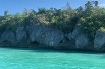 Saona Island Tour from La Romana Port for MSC Opera Passengers
