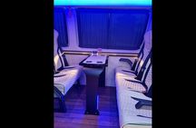 Private Day Trip from Athens to Meteora by VIP Minibus 