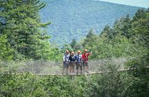 Zipline Canopy Activity Admission at Bristol Mountain