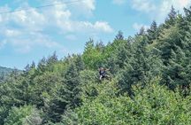 Zipline Canopy Activity Admission at Bristol Mountain