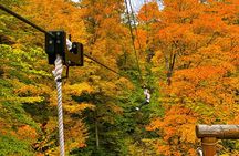 Zipline Canopy Activity Admission at Bristol Mountain