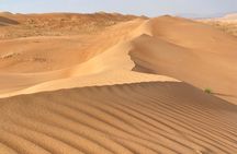 Desert Adventure with Off-Roading and Swimming in Wadi (Private).