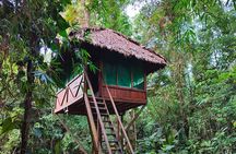 3 Days Guided Manu Jungle Tour from Cusco 